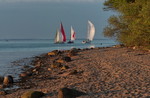 Abendstimmung an der Flensburger Förde