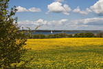 Frühling an der Flensburger Förde