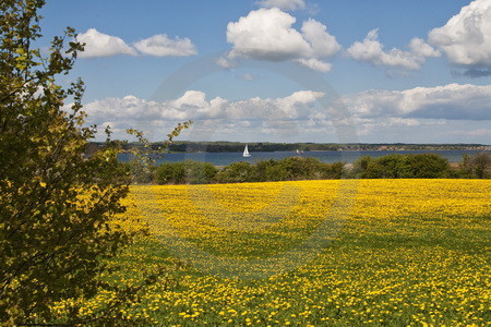 Frühling an der Flensburger Förde