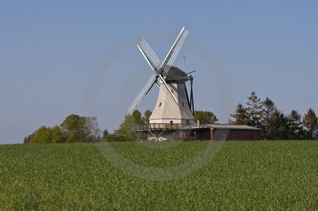 Windmühle Fortuna