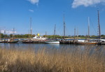 Bootshafen auf der Schlei bei Kappeln