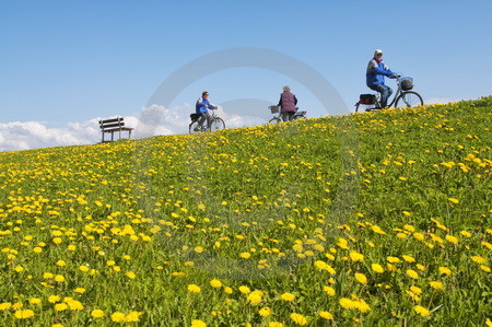 Radwandern im Frühling