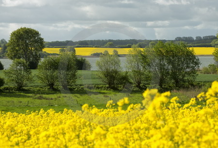 Landschaft an der Schlei