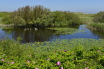 Helgoland-Düne