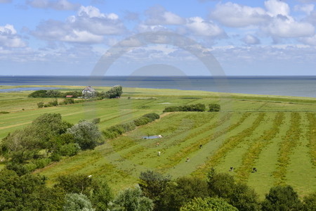 Ausblick vom Leuchtturm