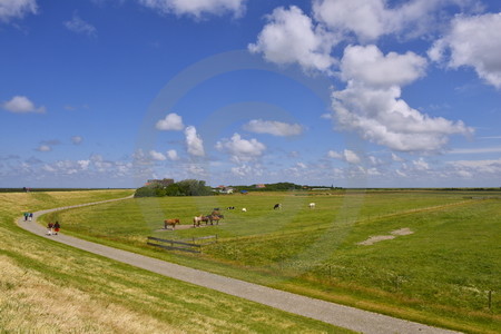 Landschaft mit Pferden