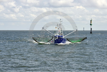 Fischkutter beim Fischfang