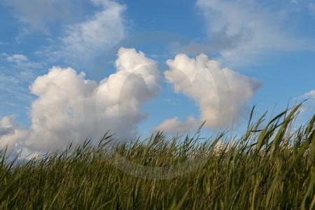 Wolken und Strandhafer