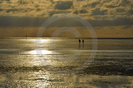 Abendstimmung im Wattenmeer