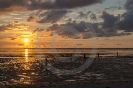 Abendstimmung im Wattenmeer