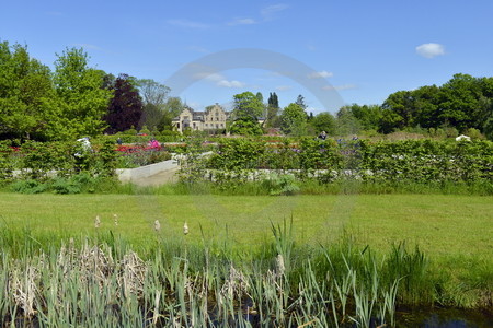 Schloss Ippenburg