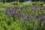 Blumenrabatten im Kurpark