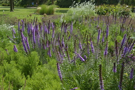 Blumenrabatten im Kurpark