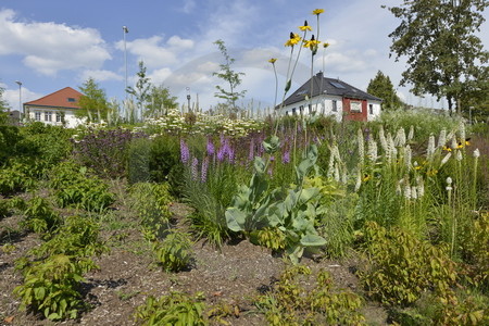 Blumenrabatten im Kurpark