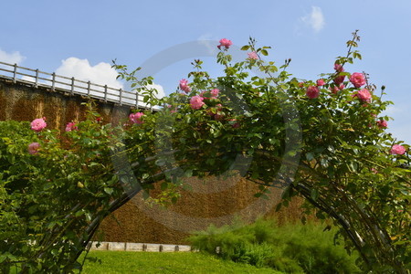 Gradierwerk und Rosenbogen