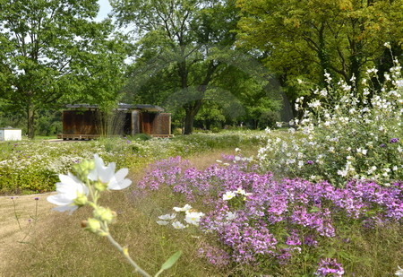 Sole-Pavillon