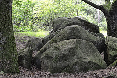 Grosssteingrab Am Wiemelsberg (8)