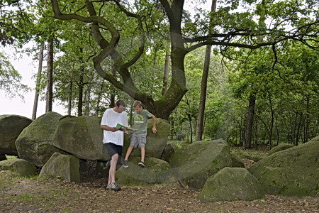 Grosssteingrab Am Wiemelsberg (8)