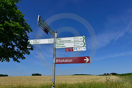 Wegweiser zur Bifurkation