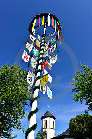 Staendebaum in Melle-Gesmold