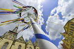 Maibaum am Marktplatz