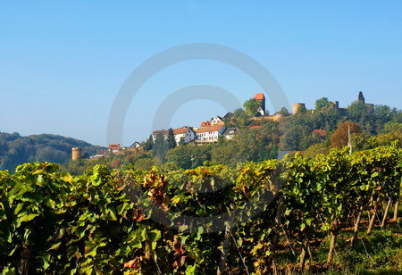 Neuleiningen in der Pfalz